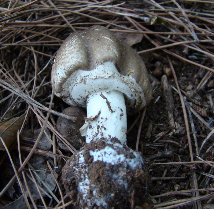 Escursione nel Parco nazionale del Circeo
